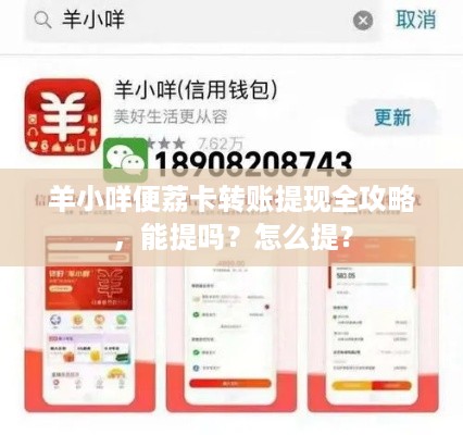 羊小咩便荔卡转账提现全攻略,能提吗?怎么提? 羊小咩便荔卡转账提现全攻略,能提吗?怎么提?