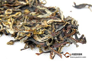 古树茶叶性价比品牌排行,如何花小钱喝大茶? 古树茶叶性价比品牌排行,如何花小钱喝大茶?