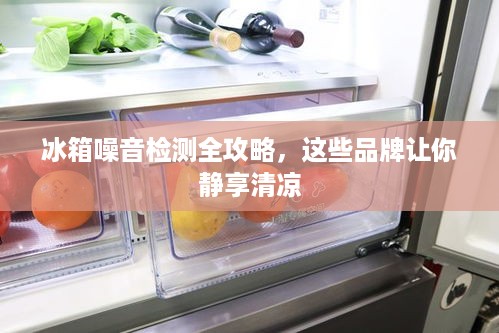 冰箱噪音检测全攻略,这些品牌让你静享清凉 冰箱噪音检测全攻略,这些品牌让你静享清凉
