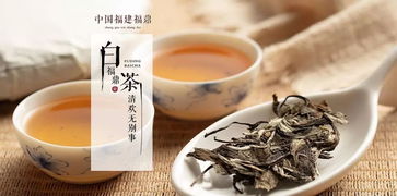白茶有机品牌全解析,如何挑选真正健康的茶饮? 白茶有机品牌全解析,如何挑选真正健康的茶饮?