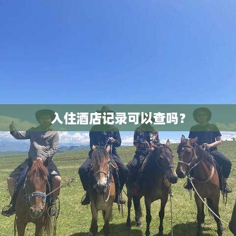 入住酒店记录可以查吗? 入住酒店记录可以查吗?
