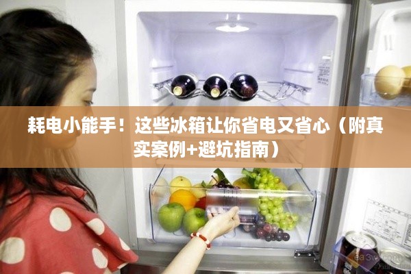 耗电小能手!这些冰箱让你省电又省心(附真实案例+避坑指南) 耗电小能手!这些冰箱让你省电又省心(附真实案例+避坑指南)