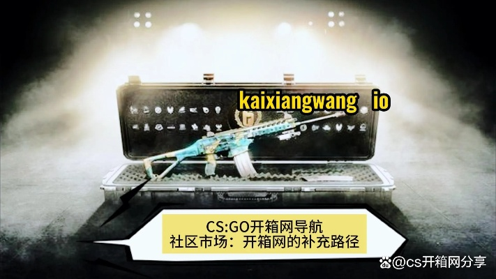 CS:GO开箱登哪个服务器,新手全攻略 CS:GO开箱登哪个服务器,新手全攻略