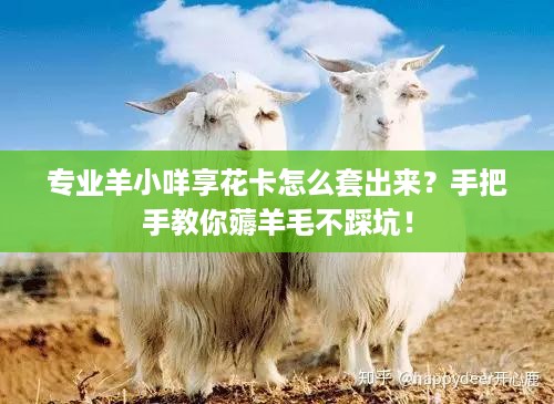 专业羊小咩享花卡怎么套出来?手把手教你薅羊毛不踩坑! 专业羊小咩享花卡怎么套出来?手把手教你薅羊毛不踩坑!