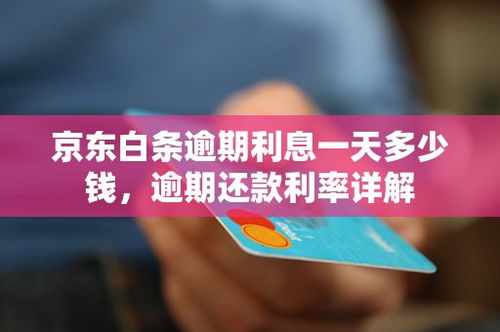 京东白条取现利息差异解析 京东白条取现利息差异解析