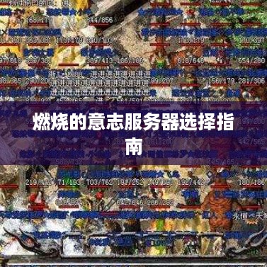 燃烧的意志服务器选择指南 燃烧的意志服务器选择指南