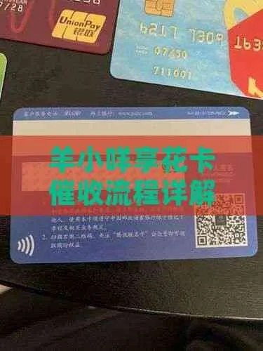 羊小咩享花卡取现全攻略,轻松搞定现金需求,避免踩坑! 羊小咩享花卡取现全攻略,轻松搞定现金需求,避免踩坑!