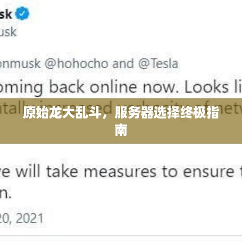 原始龙大乱斗,服务器选择终极指南 原始龙大乱斗,服务器选择终极指南