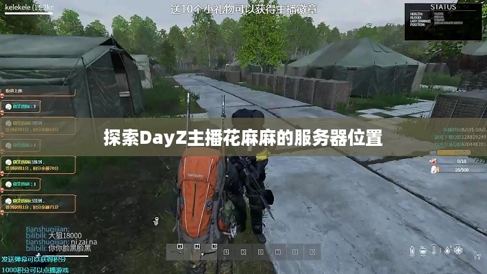 探索DayZ主播花麻麻的服务器位置