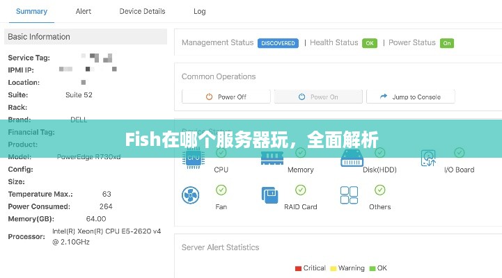 Fish在哪个服务器玩,全面解析 Fish在哪个服务器玩,全面解析