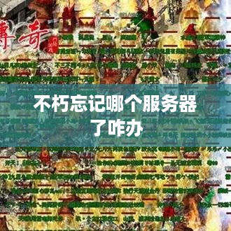 不朽忘记哪个服务器了咋办 不朽忘记哪个服务器了咋办