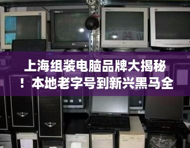 上海组装电脑品牌大揭秘!本地老字号到新兴黑马全解析 上海组装电脑品牌大揭秘!本地老字号到新兴黑马全解析