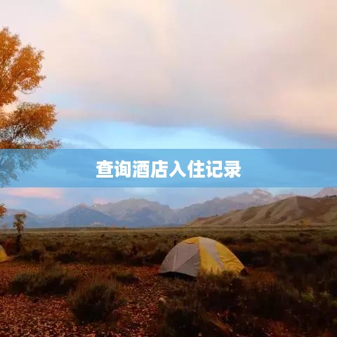 查询酒店入住记录 查询酒店入住记录