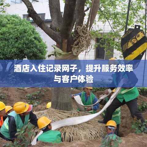 酒店入住记录网子,提升服务效率与客户体验 酒店入住记录网子,提升服务效率与客户体验
