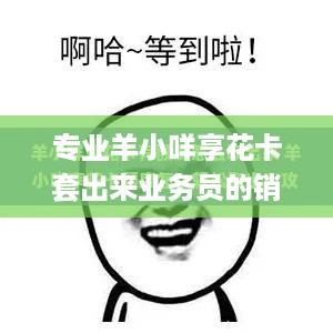 专业羊小咩享花卡套出来业务员的销售秘籍 专业羊小咩享花卡套出来业务员的销售秘籍