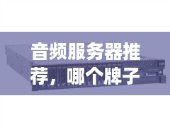 音频服务器推荐,哪个牌子好? 音频服务器推荐,哪个牌子好?