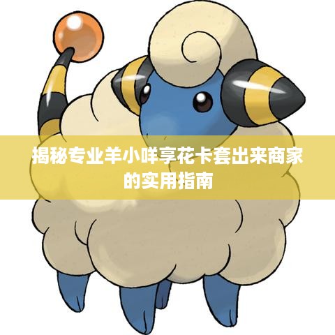 揭秘专业羊小咩享花卡套出来商家的实用指南 揭秘专业羊小咩享花卡套出来商家的实用指南