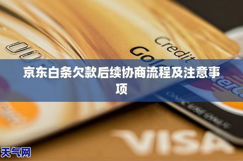 京东白条取现的流程与注意事项