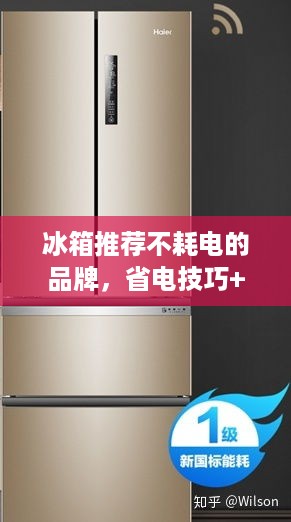 冰箱推荐不耗电的品牌，省电技巧+真实案例全解析