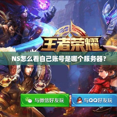 NS怎么看自己账号是哪个服务器? NS怎么看自己账号是哪个服务器?
