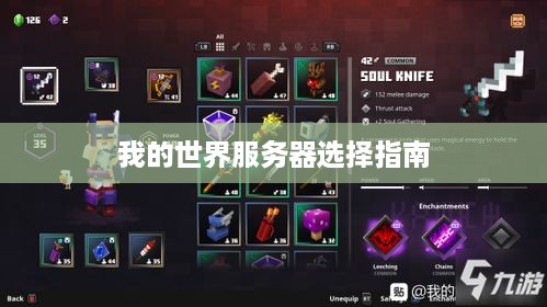 我的世界服务器选择指南 我的世界服务器选择指南