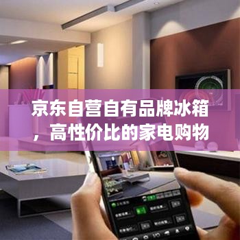 京东自营自有品牌冰箱,高性价比的家电购物指南 京东自营自有品牌冰箱,高性价比的家电购物指南