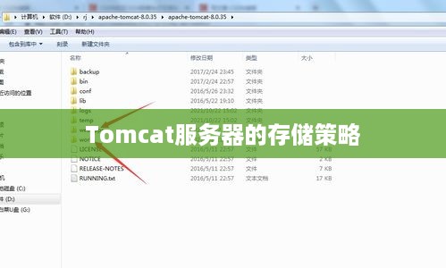 Tomcat服务器的存储策略 Tomcat服务器的存储策略
