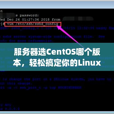 服务器选CentOS哪个版本,轻松搞定你的Linux服务器选择指南 服务器选CentOS哪个版本,轻松搞定你的Linux服务器选择指南
