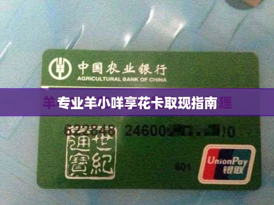专业羊小咩享花卡取现指南 专业羊小咩享花卡取现指南