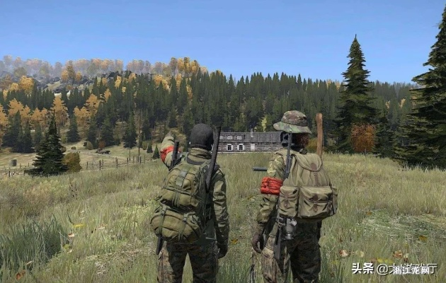 DayZ哪个服务器没有外挂?我的真实体验和推荐 DayZ哪个服务器没有外挂?我的真实体验和推荐