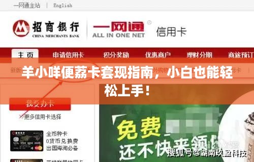 羊小咩便荔卡套现指南,小白也能轻松上手! 羊小咩便荔卡套现指南,小白也能轻松上手!
