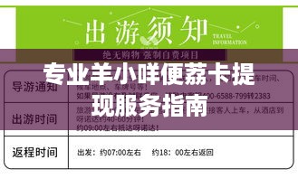 专业羊小咩便荔卡提现服务指南 专业羊小咩便荔卡提现服务指南