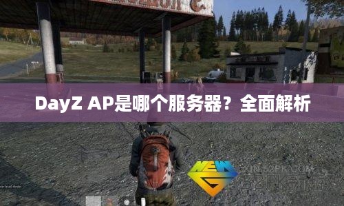 DayZ AP是哪个服务器?全面解析 DayZ AP是哪个服务器?全面解析