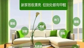 海南省无刺激油漆品牌全解析,环保健康家居新选择 海南省无刺激油漆品牌全解析,环保健康家居新选择
