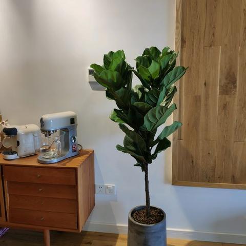 宾馆入住记录查询系统网站,轻松管理您的酒店入住记录 宾馆入住记录查询系统网站,轻松管理您的酒店入住记录