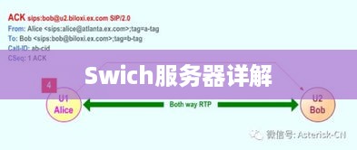 Swich服务器详解 Swich服务器详解