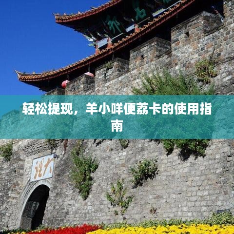 轻松提现,羊小咩便荔卡的使用指南 轻松提现,羊小咩便荔卡的使用指南