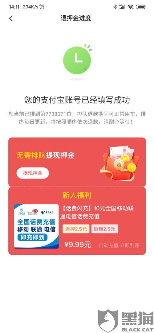 探索专业羊小咩便荔卡套商家的世界 探索专业羊小咩便荔卡套商家的世界