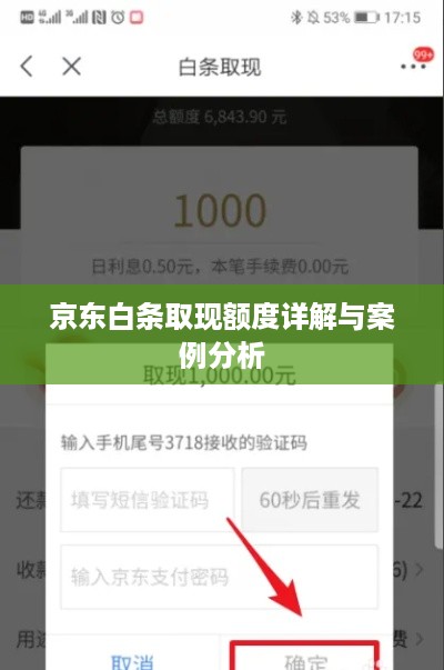 京东白条取现额度详解与案例分析 京东白条取现额度详解与案例分析