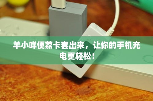 羊小咩便荔卡套出来,让你的手机充电更轻松! 羊小咩便荔卡套出来,让你的手机充电更轻松!