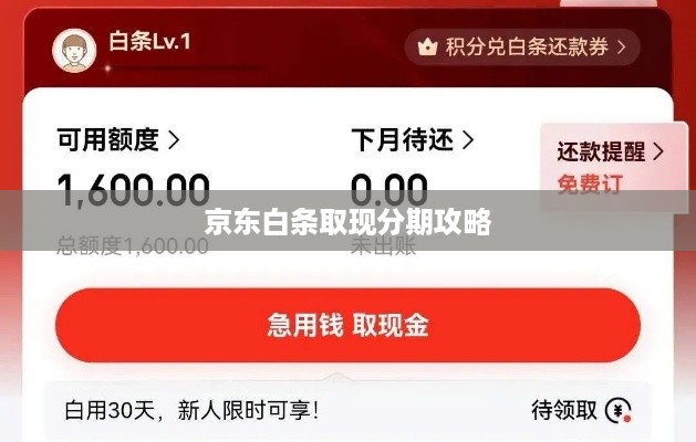 京东白条取现分期攻略 京东白条取现分期攻略