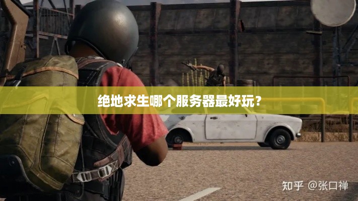 绝地求生哪个服务器最好玩? 绝地求生哪个服务器最好玩?
