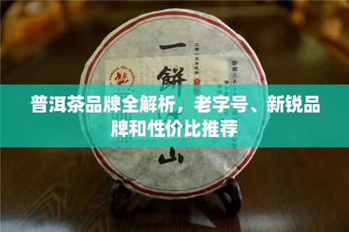 普洱茶品牌全解析,老字号、新锐品牌和性价比推荐 普洱茶品牌全解析,老字号、新锐品牌和性价比推荐