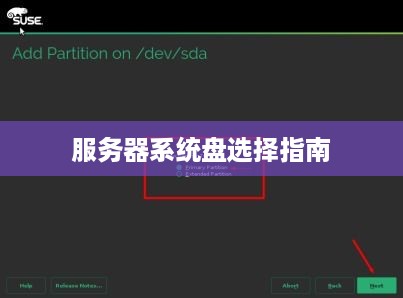 服务器系统盘选择指南 服务器系统盘选择指南