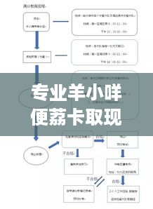 专业羊小咩便荔卡取现流程详解 专业羊小咩便荔卡取现流程详解