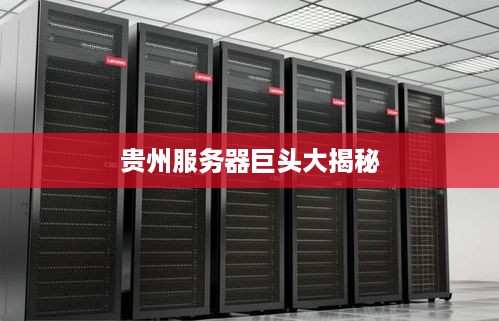 贵州服务器巨头大揭秘