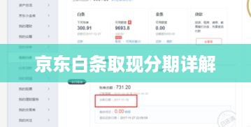 京东白条取现分期详解