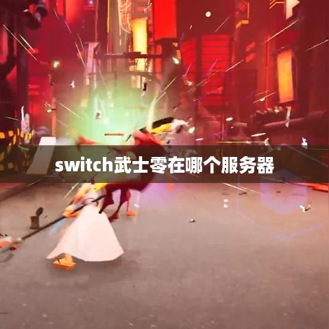 switch武士零在哪个服务器
