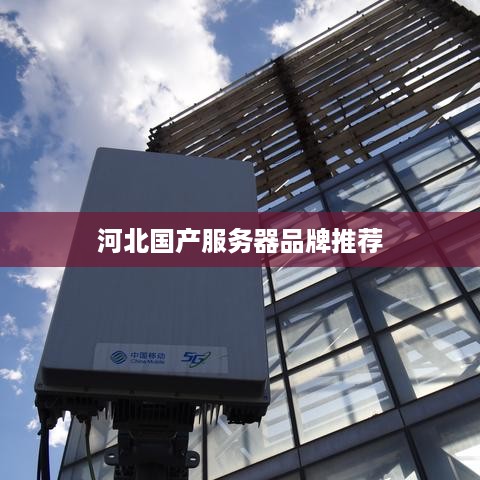 河北国产服务器品牌推荐 河北国产服务器品牌推荐