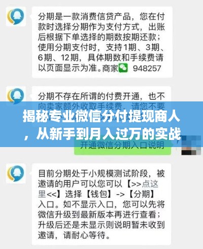 揭秘专业微信分付提现商人,从新手到月入过万的实战指南 揭秘专业微信分付提现商人,从新手到月入过万的实战指南